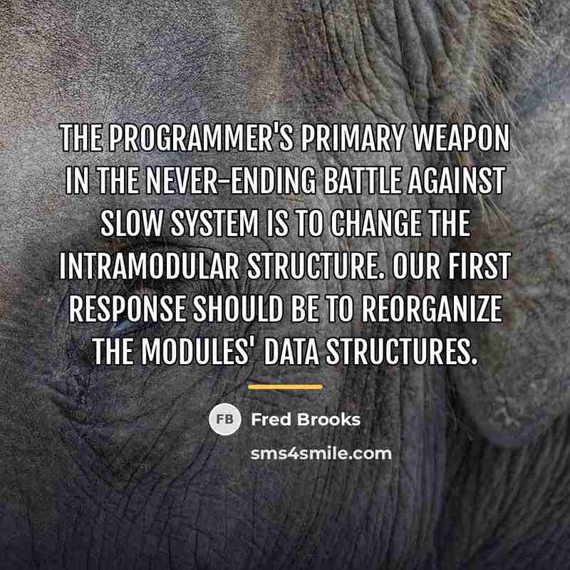 “The programmer's primary weapon in the never-ending battle against slow…” quote by Fred Brooks