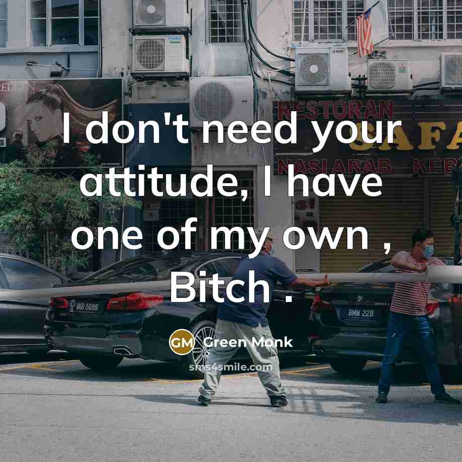 “I don't need your attitude, I have one of my…” quote by Green Monk