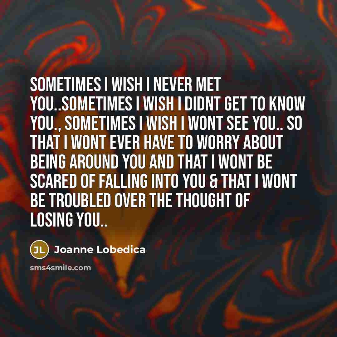 “Sometimes I wish I never met you..Sometimes I wish I…” quote by Joanne Lobedica