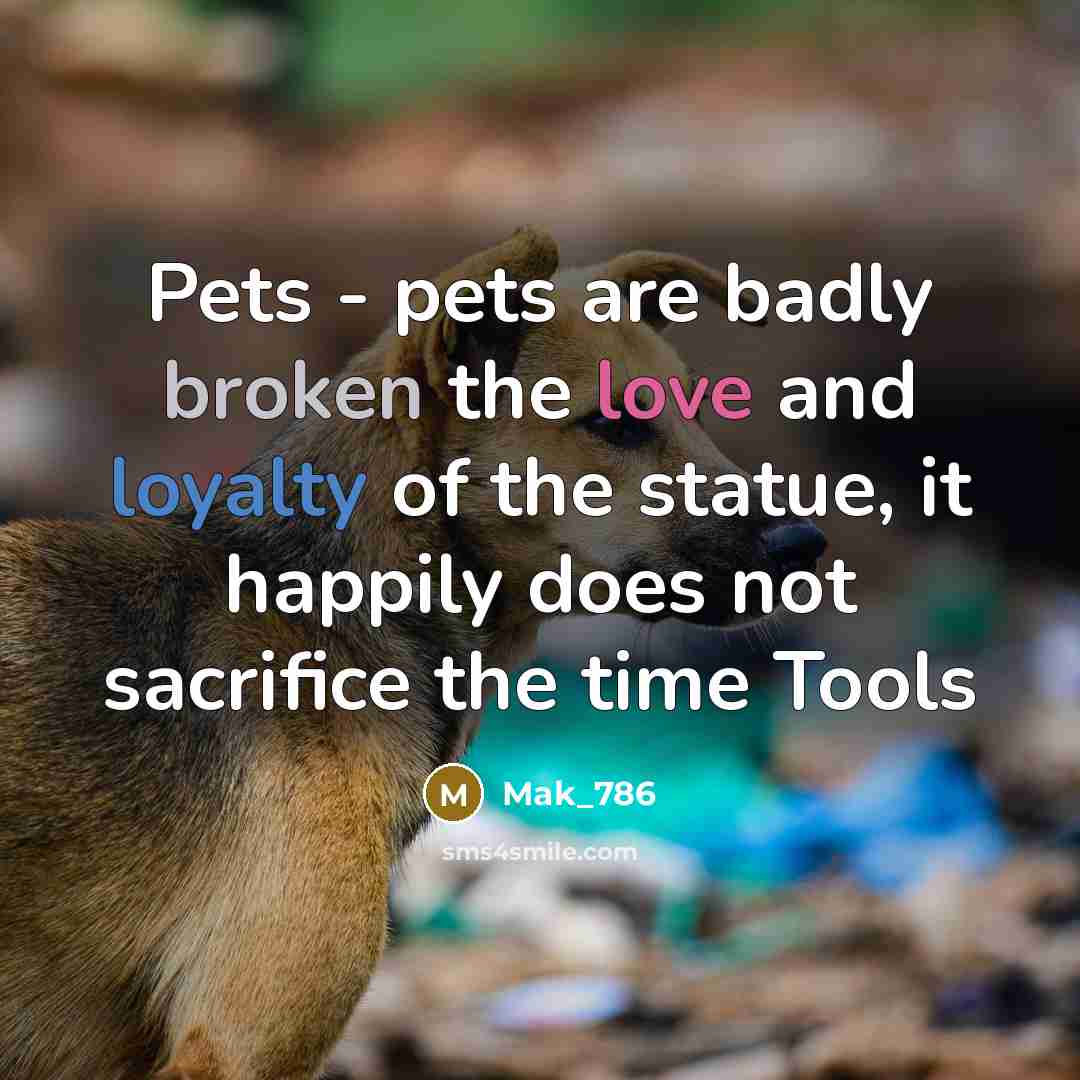 “Pets - pets are badly broken the love and loyalty…” quote by Mak_786