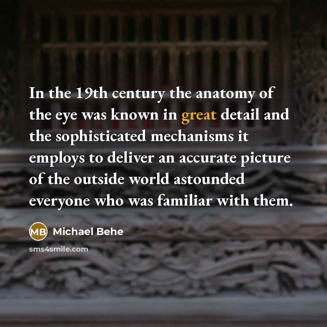 “In the 19th century the anatomy of the eye was…” quote by Michael Behe