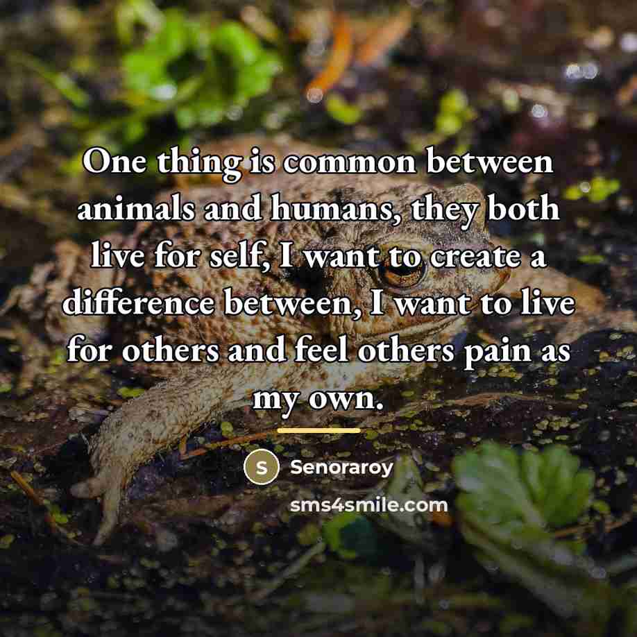 “One thing is common between animals and humans, they both…” quote by Senoraroy
