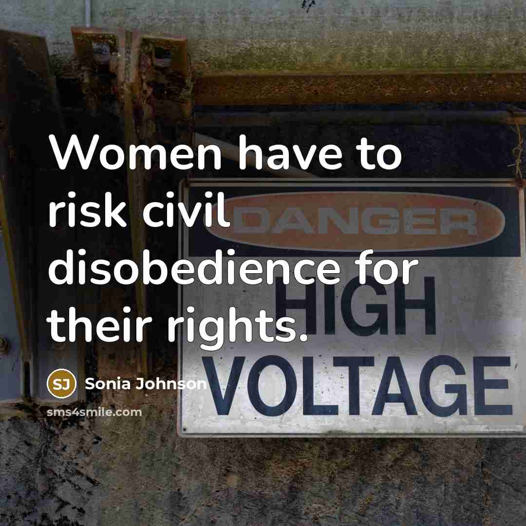 “Women have to risk civil disobedience for their rights.…” quote by Sonia Johnson