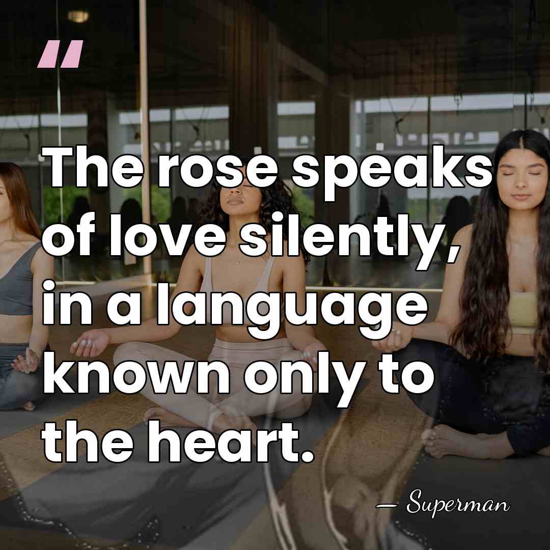 The rose speaks of love silently, in a language known only to&hellip; - Superman
