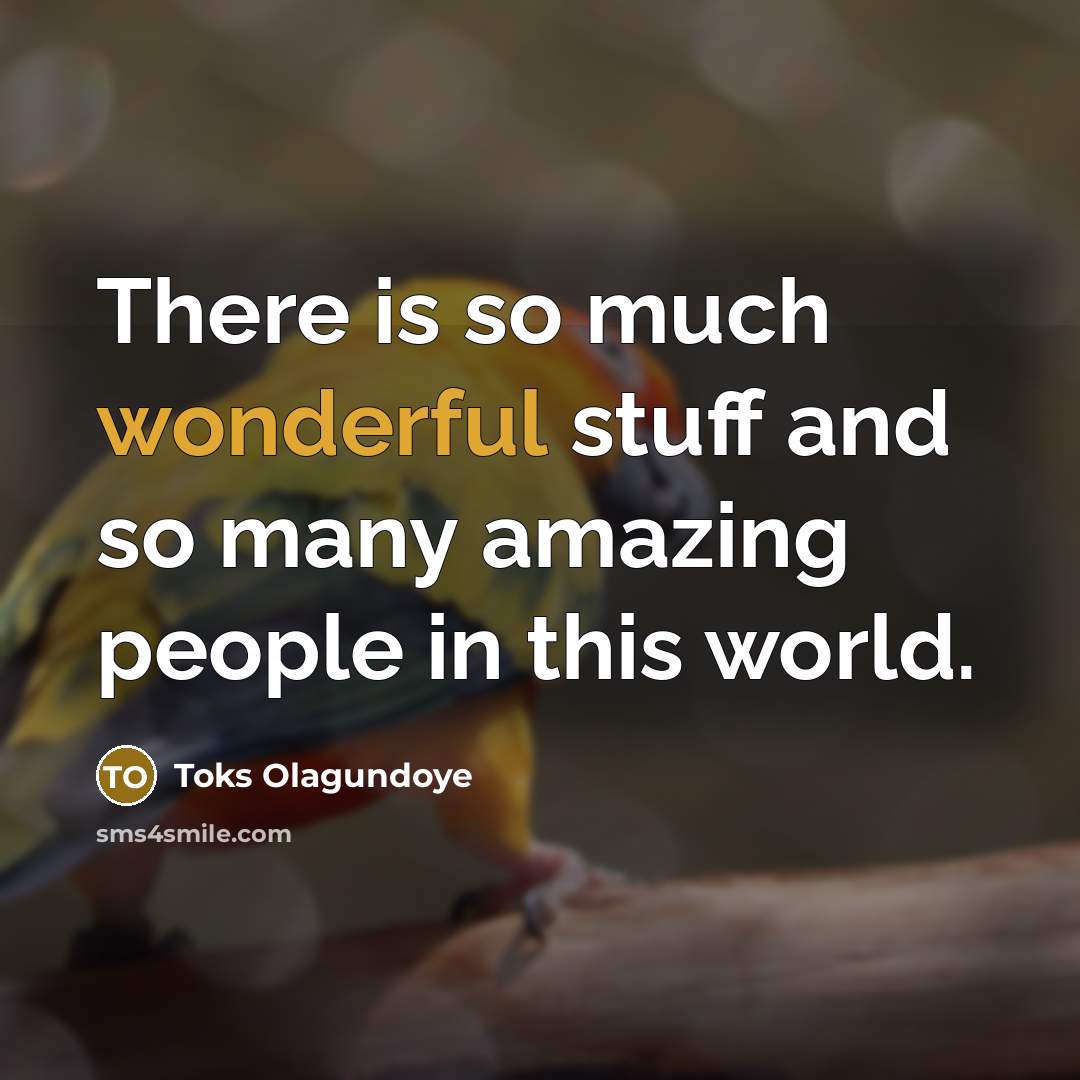 “There is so much wonderful stuff and so many amazing people in this world.” quote by Toks Olagundoye