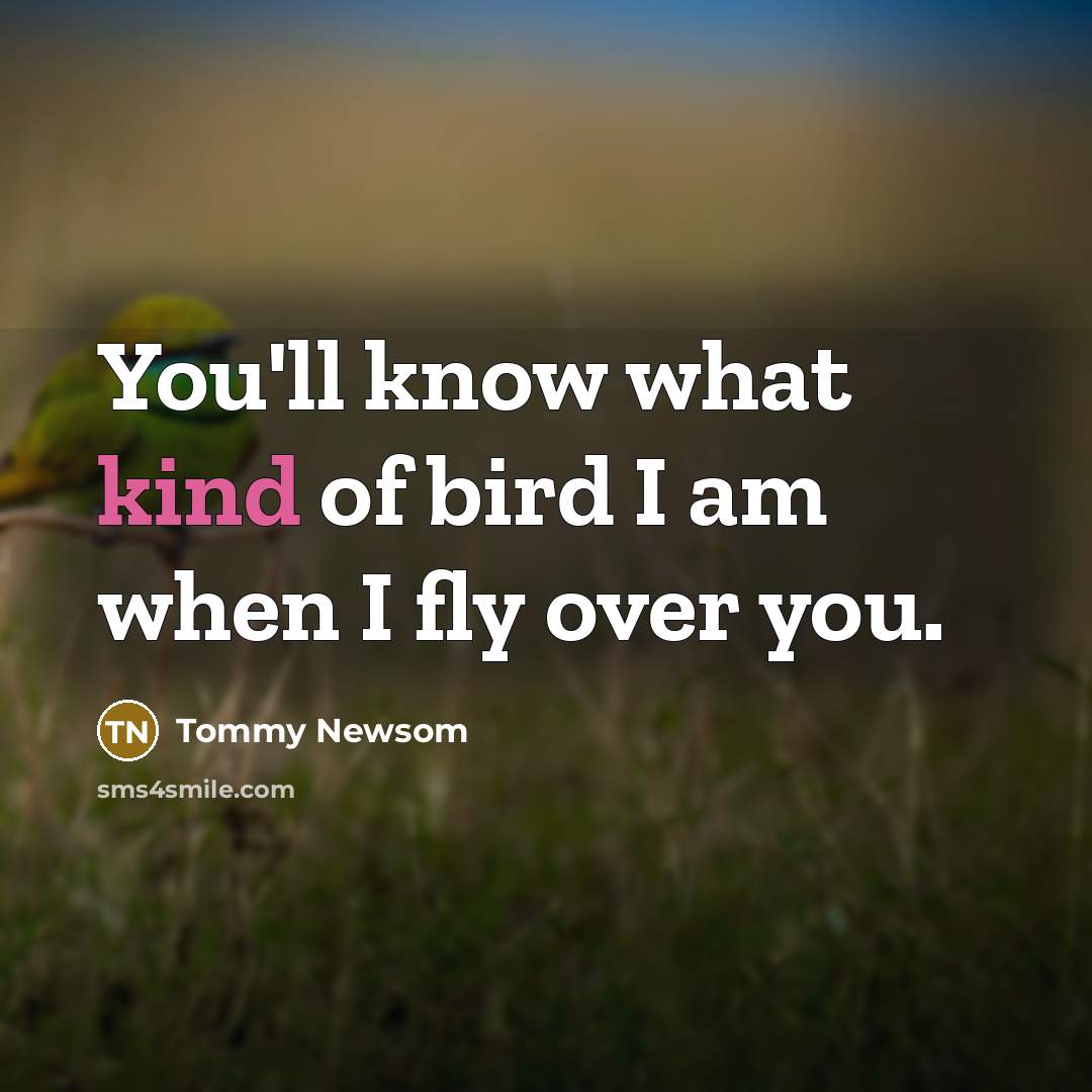 “You'll know what kind of bird I am when I fly over you.” quote by Tommy Newsom