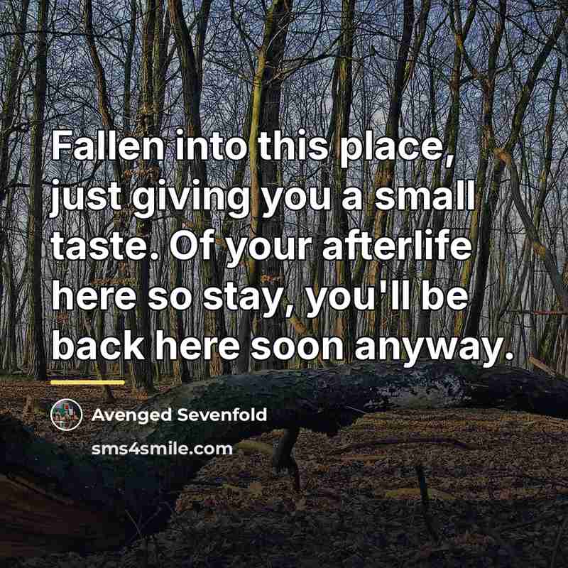 “Fallen into this place, just giving you a small taste.…” quote by Avenged Sevenfold