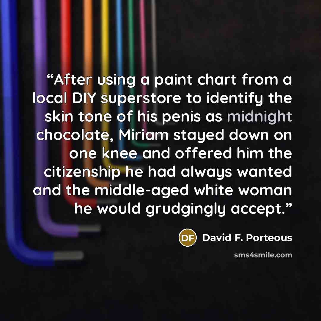 “After using a paint chart from a local DIY superstore to identify the skin tone of his penis as midnight chocolate, Miriam stayed down on one knee and offered him the citizenship he had always wanted and the middle-aged white woman he would grudgingly accept.” quote by David F. Porteous