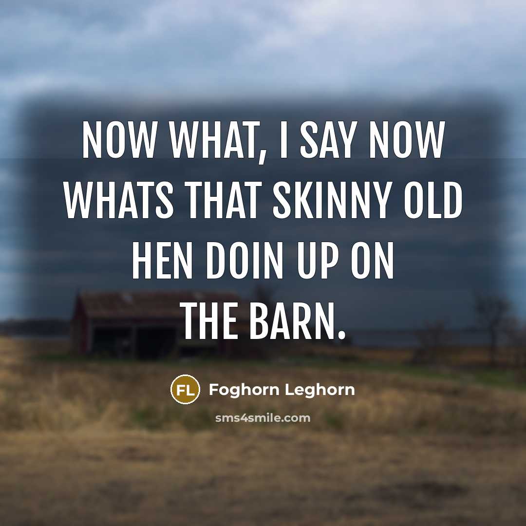 “Now what, I say now whats that skinny old hen…” quote by Foghorn Leghorn