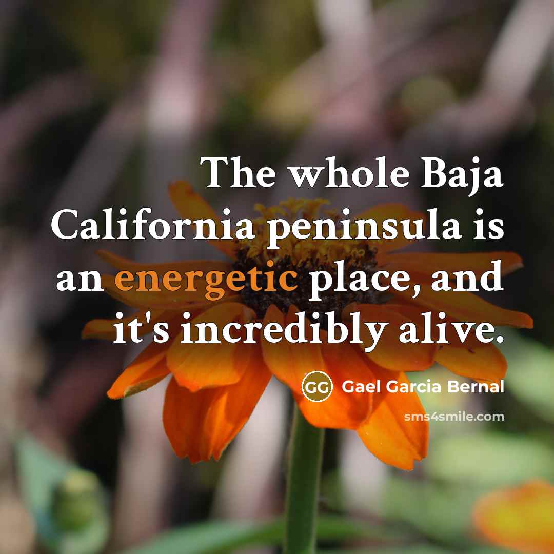 “The whole Baja California peninsula is an energetic place, and…” quote by Gael Garcia Bernal