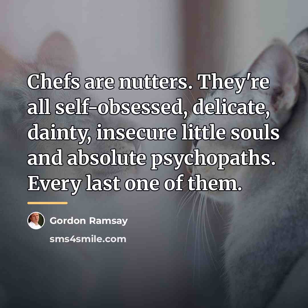 “Chefs are nutters. They're all self-obsessed, delicate, dainty, insecure little…” quote by Gordon Ramsay