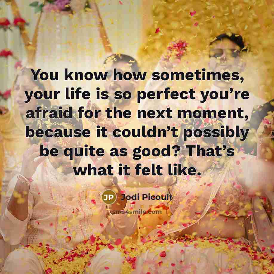 “You know how sometimes, your life is so perfect you’re…” quote by Jodi Picoult