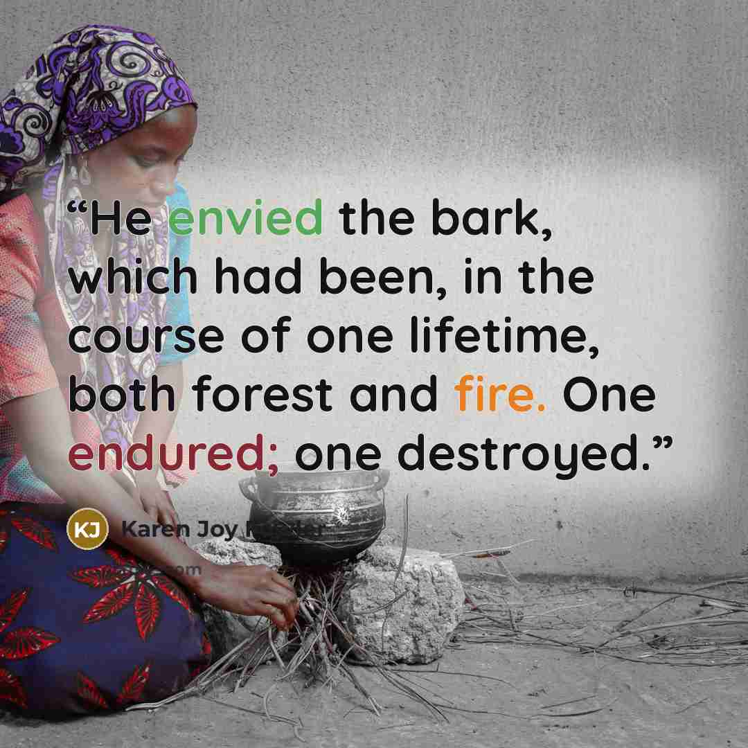 “He envied the bark, which had been, in the course of one lifetime, both forest and fire. One endured; one destroyed.” quote by Karen Joy Fowler