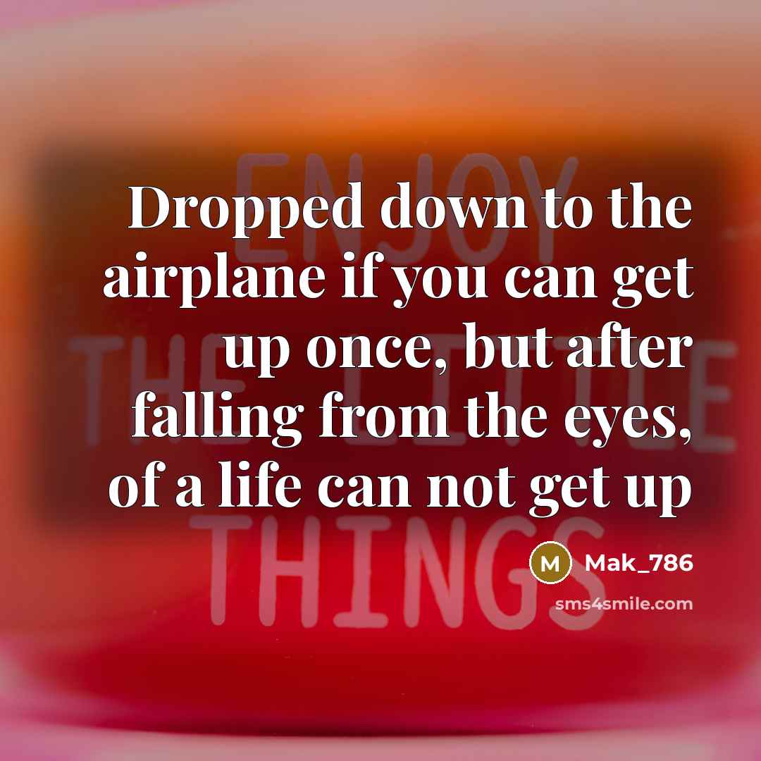 “Dropped down to the airplane if you can get up…” quote by Mak_786