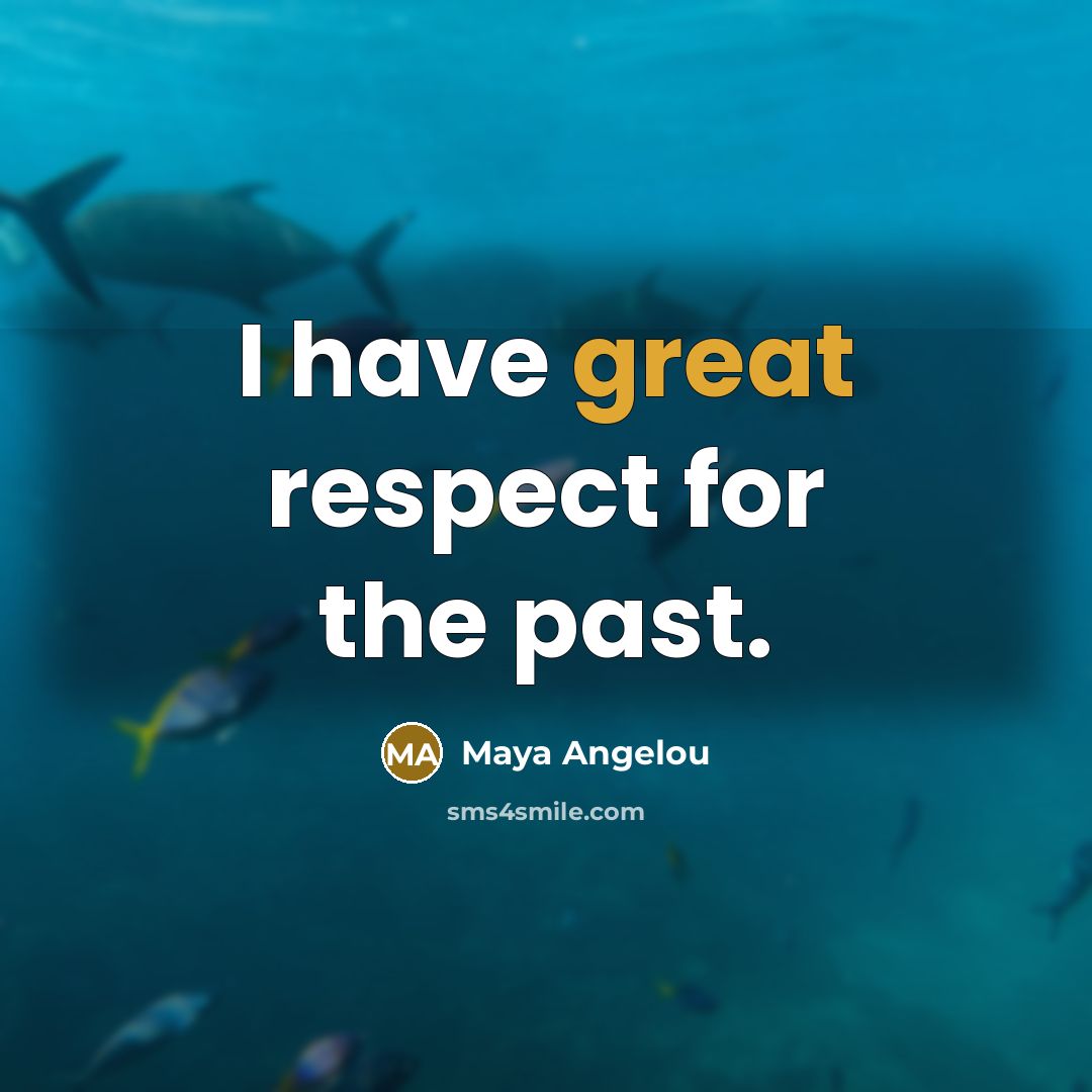 “I have great respect for the past.…” quote by Maya Angelou