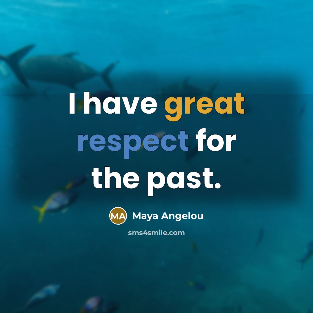 “I have great respect for the past.” quote by Maya Angelou