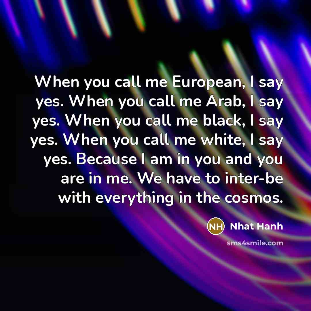 “When you call me European, I say yes. When you…” quote by Nhat Hanh