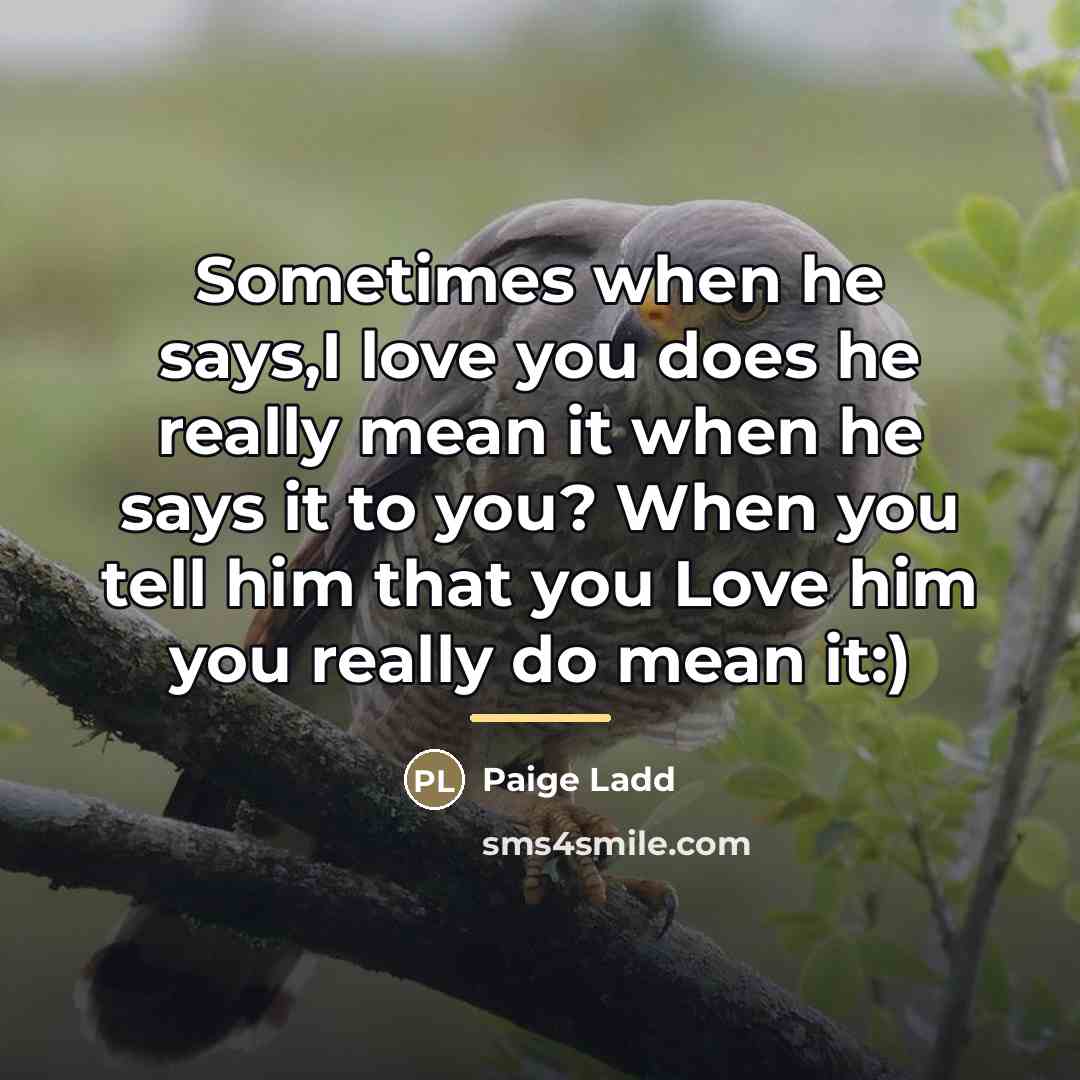 “Sometimes when he says,I love you does he really mean…” quote by Paige Ladd