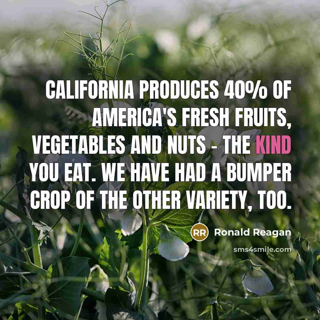 “California produces 40% of America's fresh fruits, vegetables and nuts…” quote by Ronald Reagan