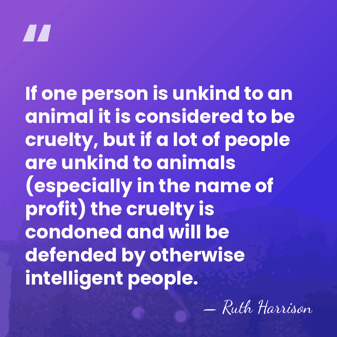 If one person is unkind to an animal it is considered to&hellip; - Ruth Harrison