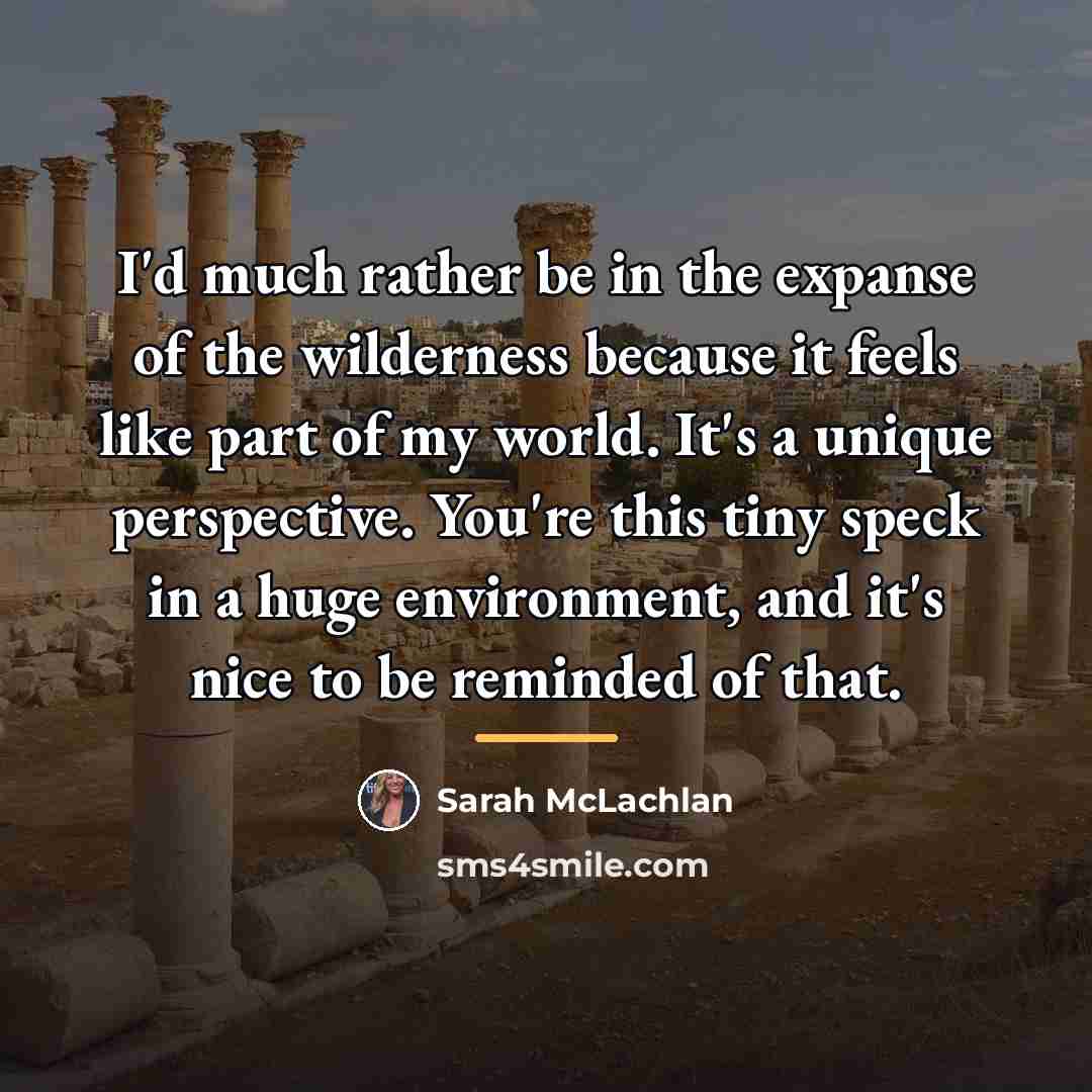 “I'd much rather be in the expanse of the wilderness…” quote by Sarah McLachlan