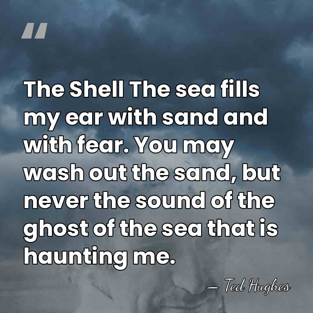 The Shell The sea fills my ear with sand and with fear.&hellip; - Ted Hughes