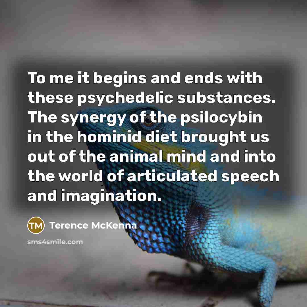 “To me it begins and ends with these psychedelic substances.…” quote by Terence McKenna