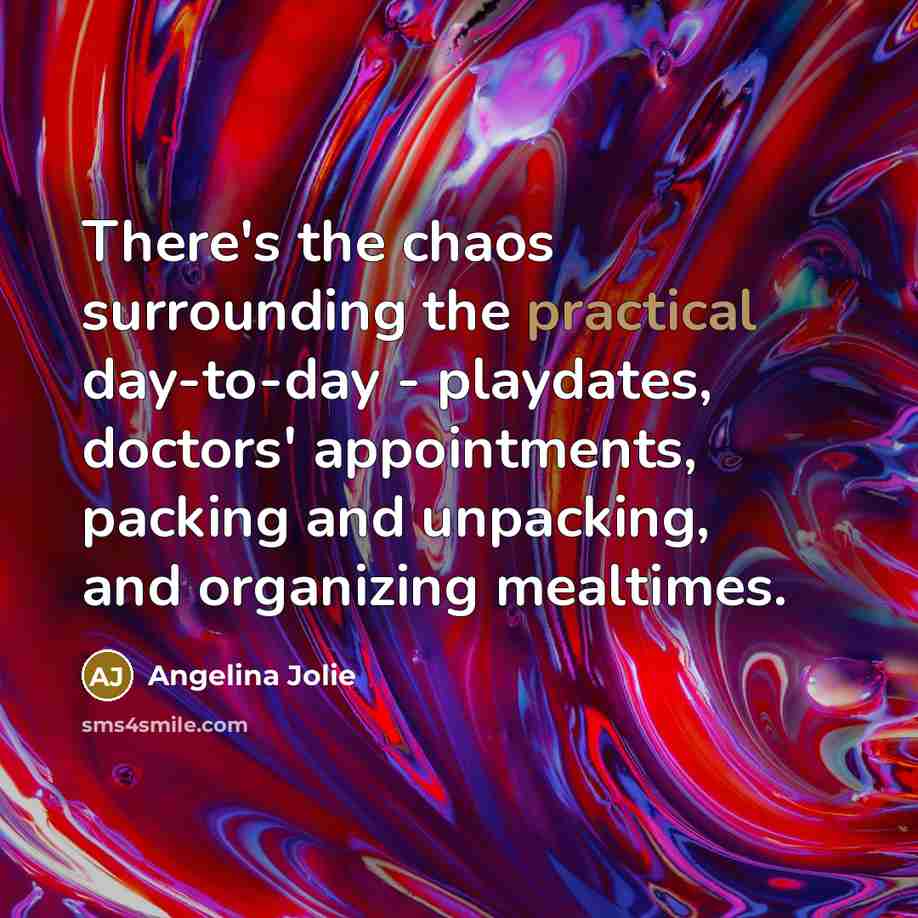 “There's the chaos surrounding the practical day-to-day - playdates, doctors'…” quote by Angelina Jolie
