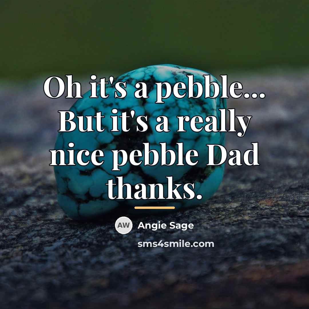 “Oh it's a pebble... But it's a really nice pebble…” quote by Angie Sage