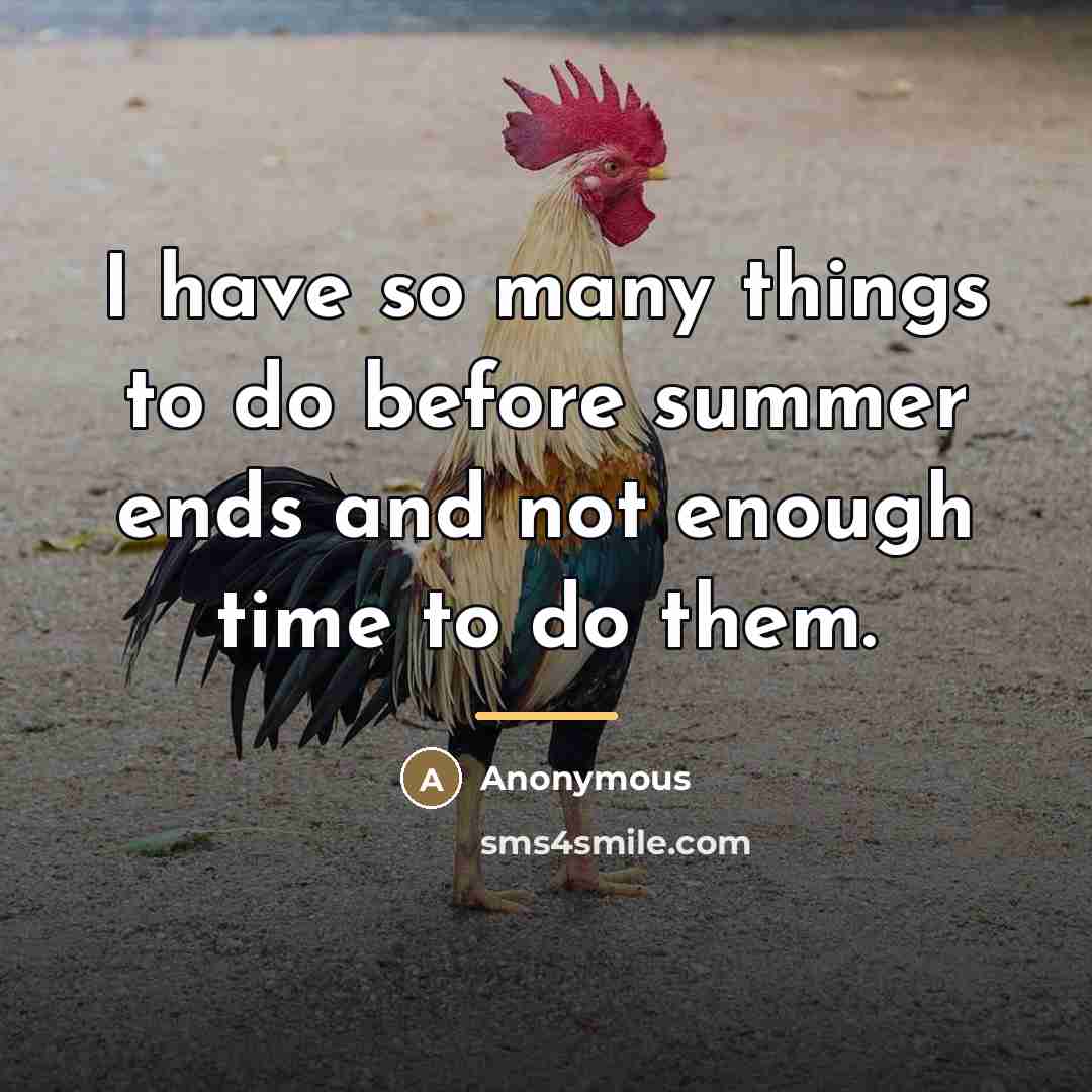 “I have so many things to do before summer ends…” quote by Anonymous