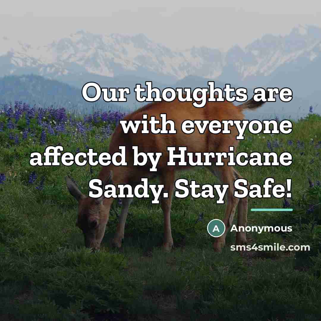 “Our thoughts are with everyone affected by Hurricane Sandy. Stay…” quote by Anonymous