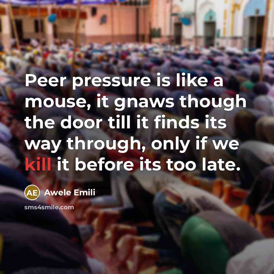 “Peer pressure is like a mouse, it gnaws though the door till it finds its way through, only if we kill it before its too late.” quote by Awele Emili