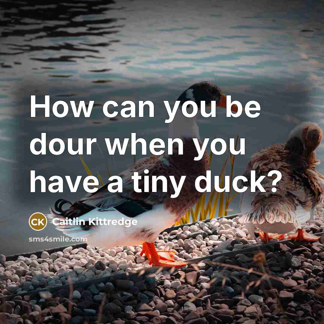 “How can you be dour when you have a tiny…” quote by Caitlin Kittredge