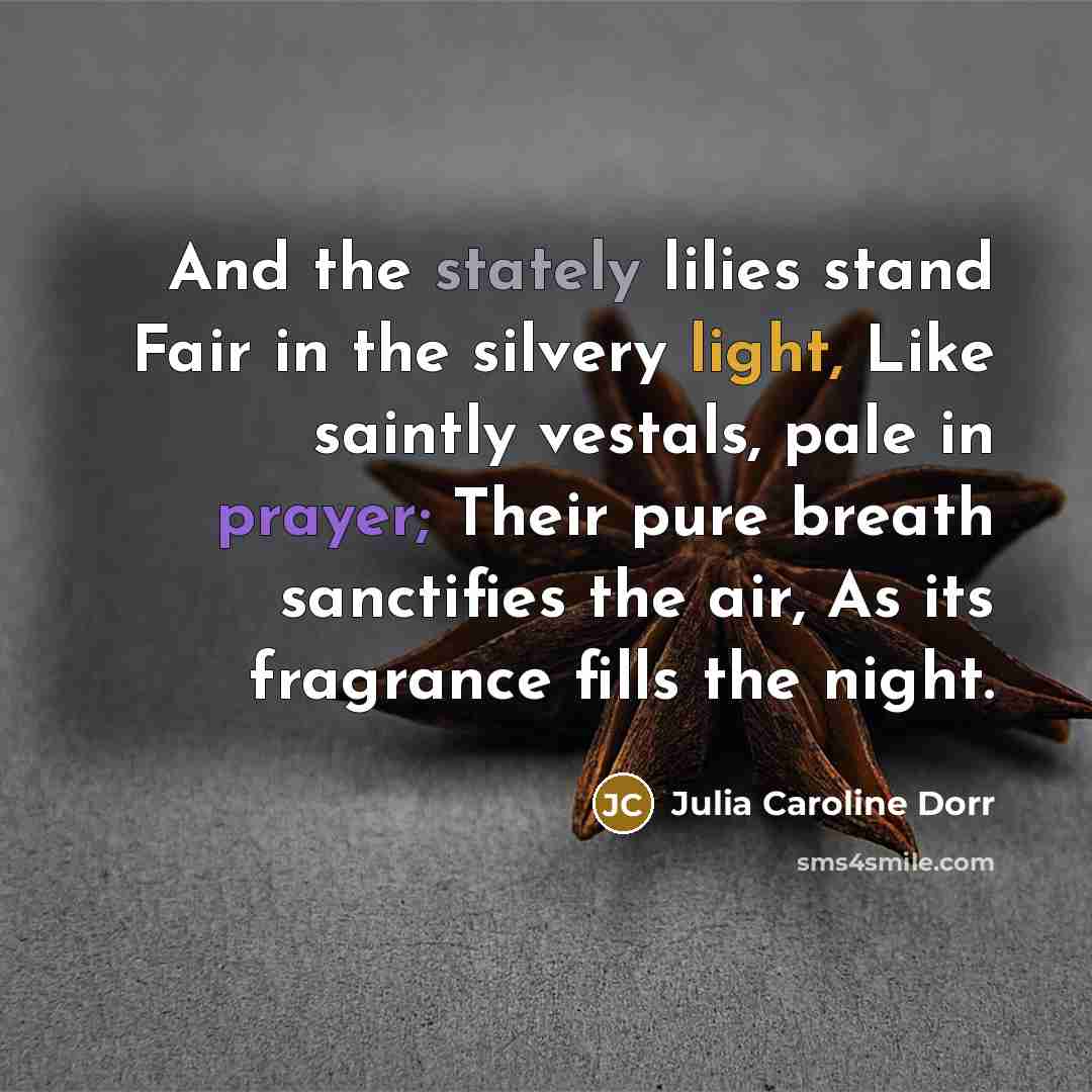 “And the stately lilies stand Fair in the silvery light,…” quote by Julia Caroline Dorr