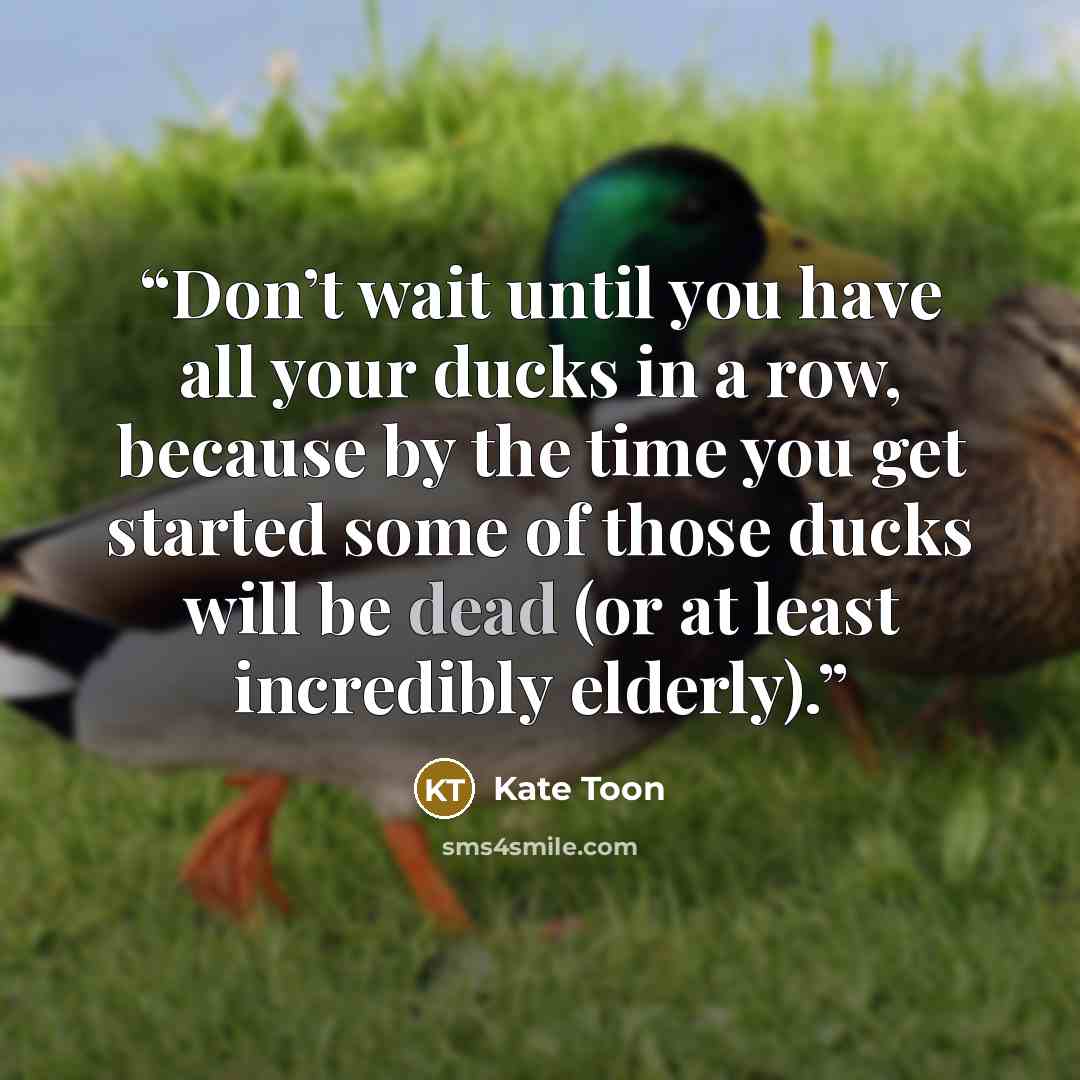 “Don’t wait until you have all your ducks in a row, because by the time you get started some of those ducks will be dead (or at least incredibly elderly).” quote by Kate Toon