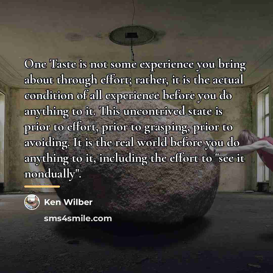 “One Taste is not some experience you bring about through…” quote by Ken Wilber