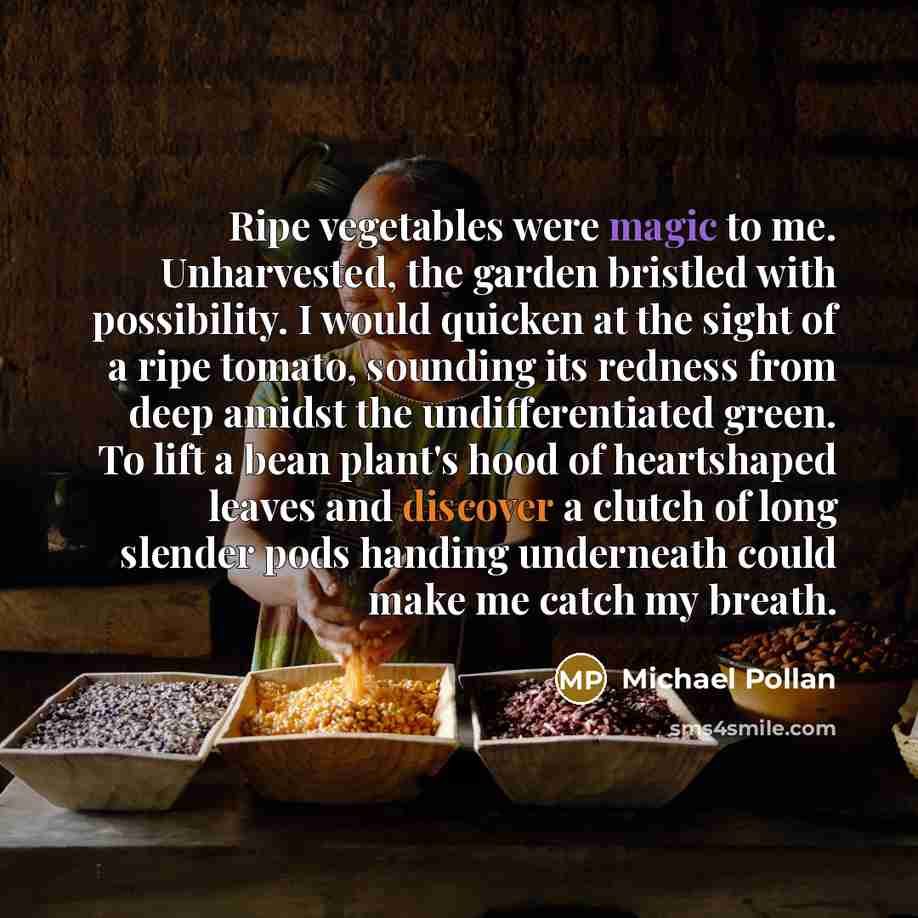 “Ripe vegetables were magic to me. Unharvested, the garden bristled…” quote by Michael Pollan
