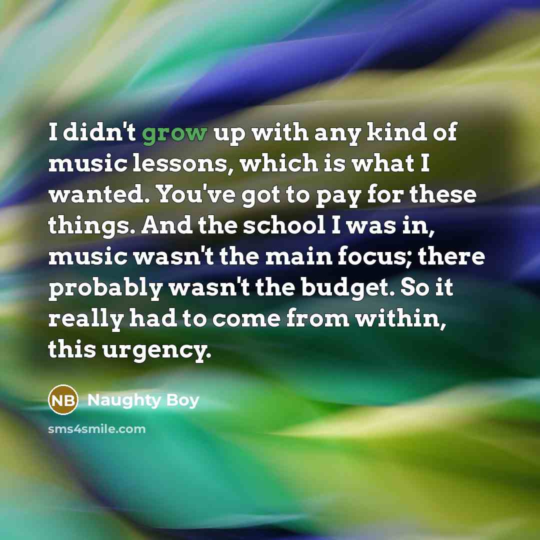 “I didn't grow up with any kind of music lessons,…” quote by Naughty Boy