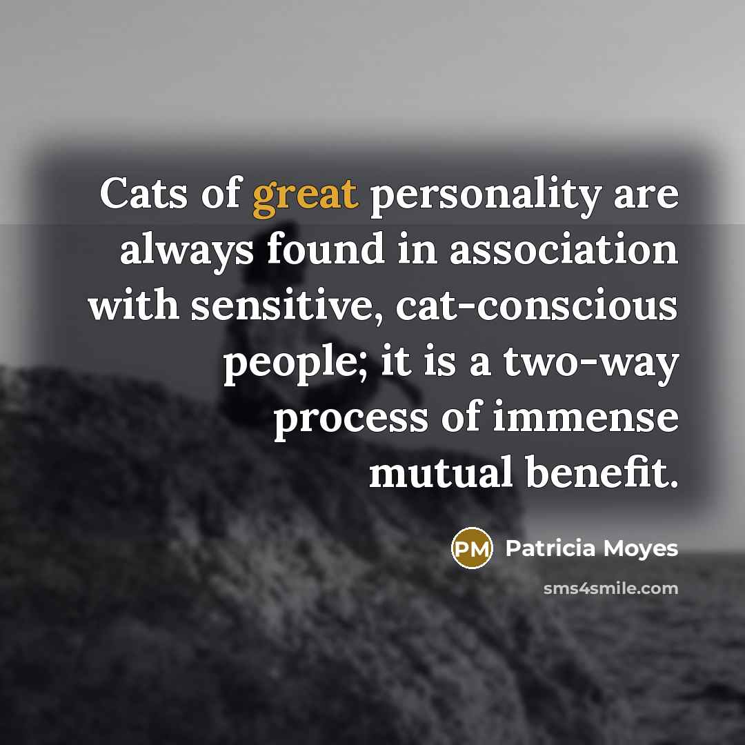 “Cats of great personality are always found in association with…” quote by Patricia Moyes