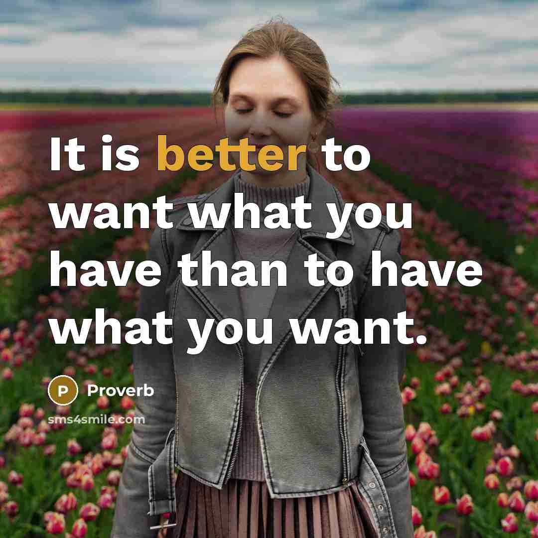 “It is better to want what you have than to have what you want.” quote by Proverb