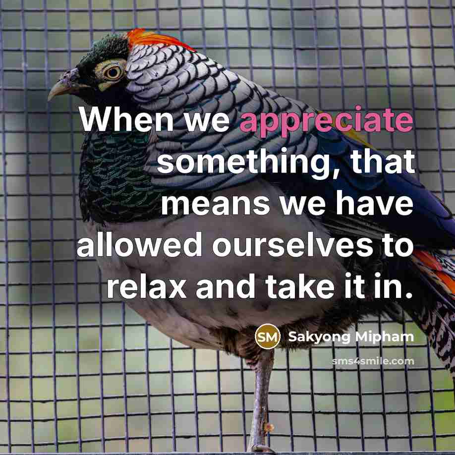 “When we appreciate something, that means we have allowed ourselves…” quote by Sakyong Mipham