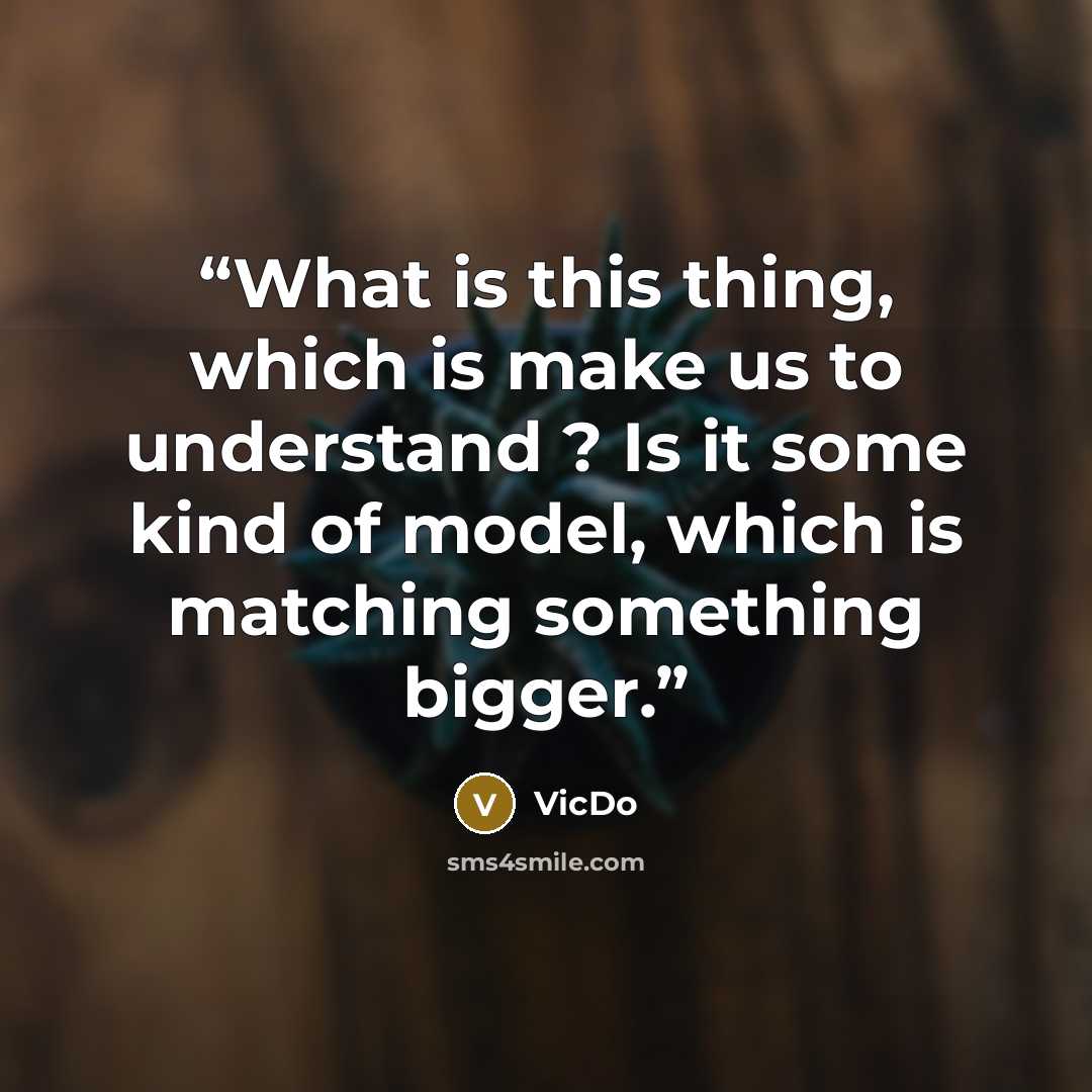 “What is this thing, which is make us to understand ? Is it some kind of model, which is matching something bigger.” quote by VicDo