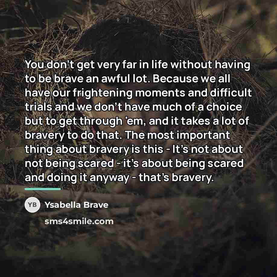 “You don't get very far in life without having to…” quote by Ysabella Brave