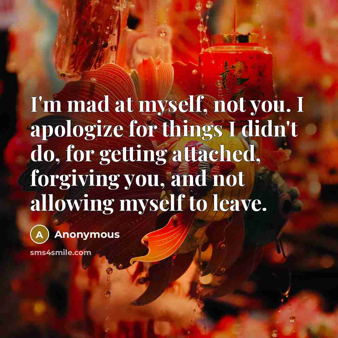 “I'm mad at myself, not you. I apologize for things I didn't do, for getting attached, forgiving you, and not allowing myself to leave.” quote by Anonymous
