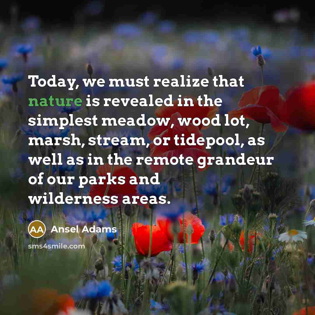 “Today, we must realize that nature is revealed in the…” quote by Ansel Adams
