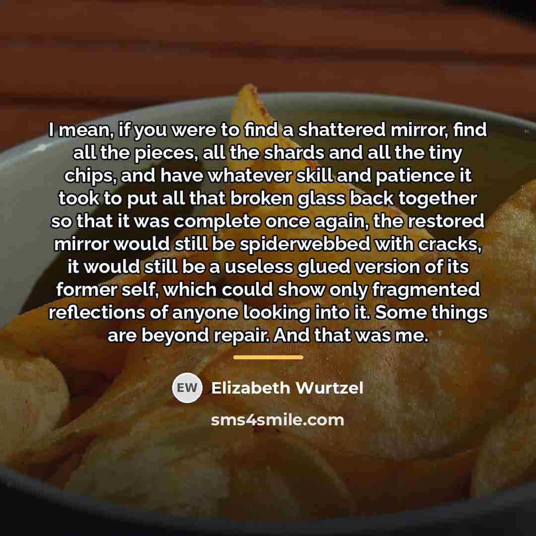 “I mean, if you were to find a shattered mirror,…” quote by Elizabeth Wurtzel