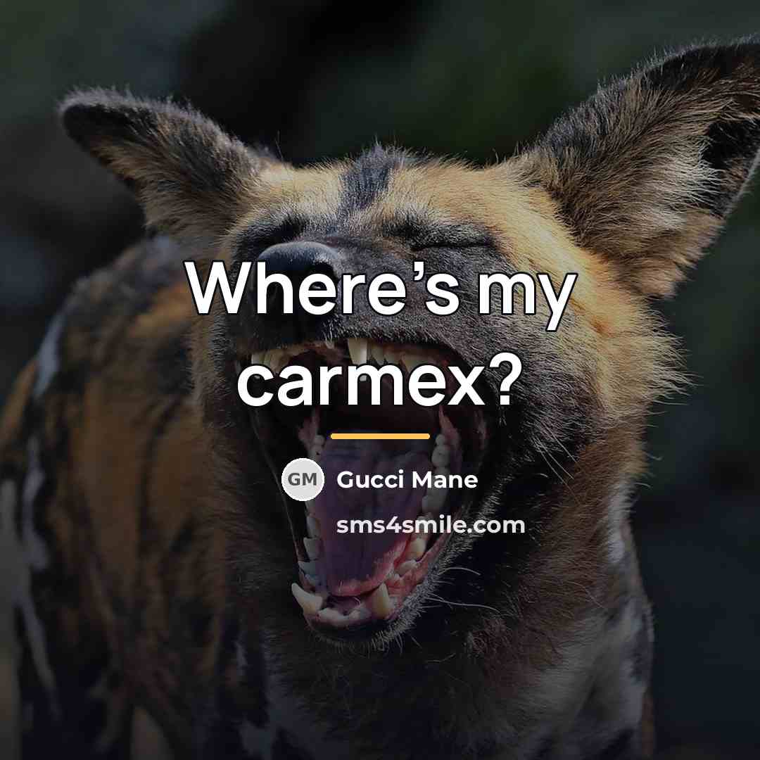 “Where's my carmex?…” quote by Gucci Mane