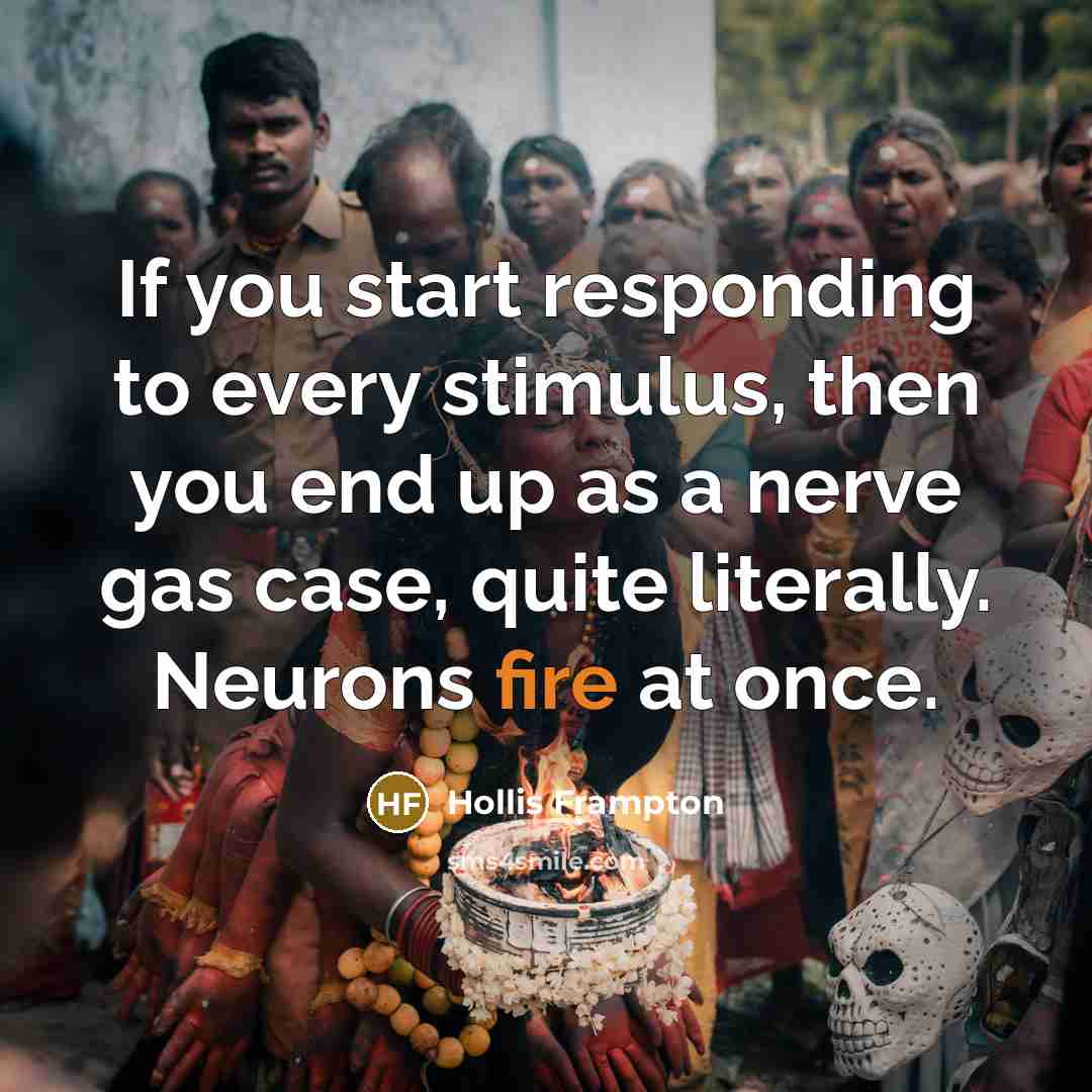 “If you start responding to every stimulus, then you end…” quote by Hollis Frampton