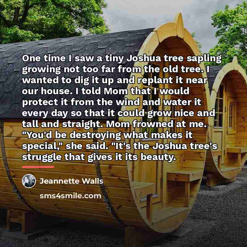 “One time I saw a tiny Joshua tree sapling growing…” quote by Jeannette Walls