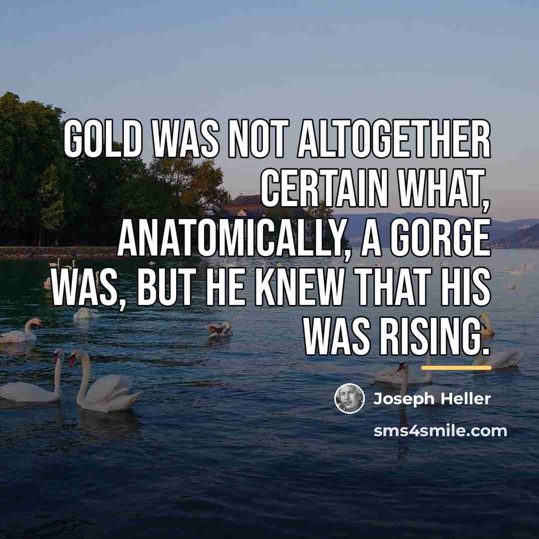 “Gold was not altogether certain what, anatomically, a gorge was,…” quote by Joseph Heller